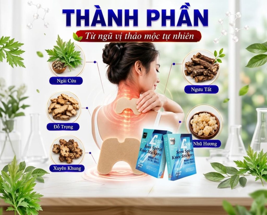 Thành phần trong miếng dán giảm đau xương khớp Dr.Body